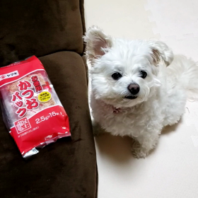 大阪の吉村知事の画像