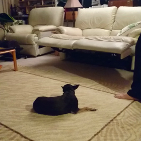 Hawaii日記⊂(^(工)^)⊃フラッシーの画像