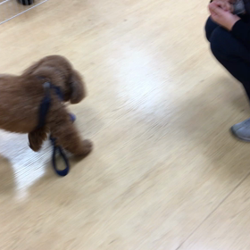 スゴイねぇ。の画像