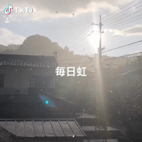 虹の投稿は食傷気味…とか言わずーの画像