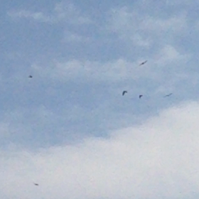 開けましておめでとうございますm(_ _)mの画像