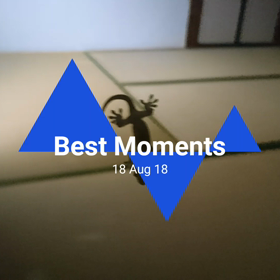 ヤモリさんの画像