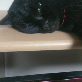 流石ですの画像