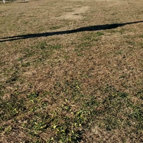ベル　呼び戻しの画像