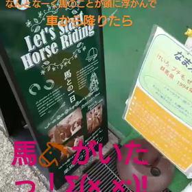 馬好きさんが持つ２つの星？！の画像