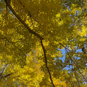 この景色を見るためにの画像