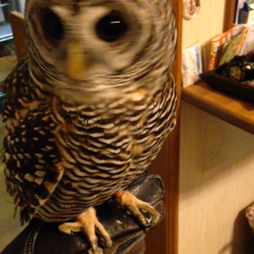 本日より仕事〜(￣ー￣)wの画像