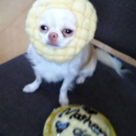 母の日ですね。の画像