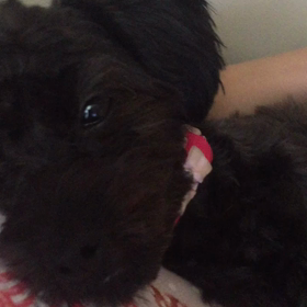 お気に入りの場所2の画像