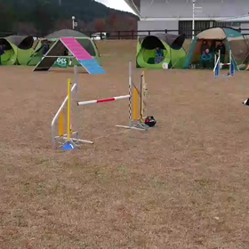 オプデス アジリティの画像