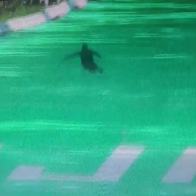 夏・冬の比較の画像