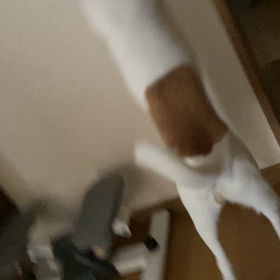 やっと！食べるように♡の画像