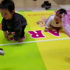 ハイハイレースの画像