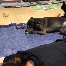 成長したねの画像