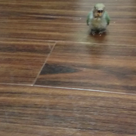 ☆ひぃたん☆の画像