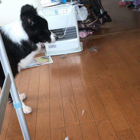 ワンプロしてるから、の画像