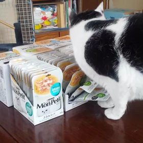 続モンプチ大好きの画像