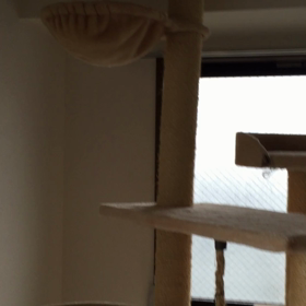 りく遊び♪の画像