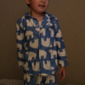 ピンクレディーの画像