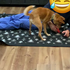 かーさんの財布悲報の画像