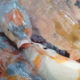 元気！！！の画像