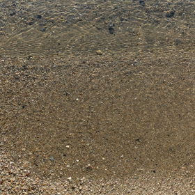 2017・1・1   元旦の画像