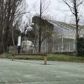 食後のスケート　　その2の画像