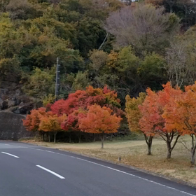 生憎の天気の画像
