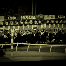 羅生門ステークスの画像