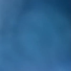 鯛　鯛　鯛　鯛　鯛　鯛の画像