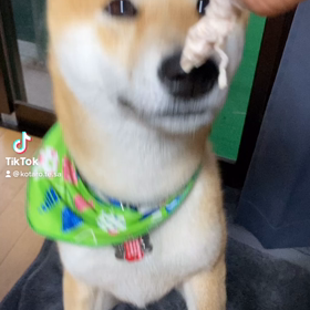 無事復活しましたの画像