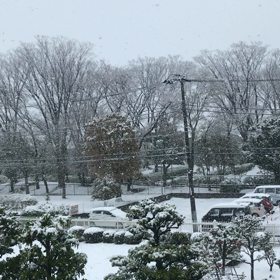 本日は何かと問い合わせの多い一日でしたの画像