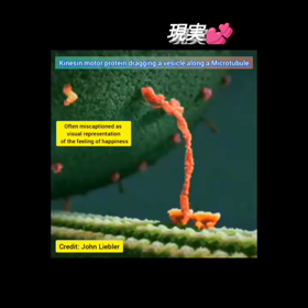 宇宙のエネルギーを使いこなすの画像