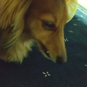 どうしたのか【追記あり】の画像