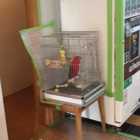 出張32  もしもしの画像