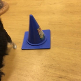 ハウスから出て来なかったもんねぇ。の画像