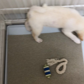 裏が気になるの画像