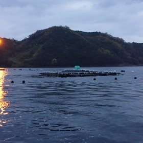 一旦雨揚がりました。の画像