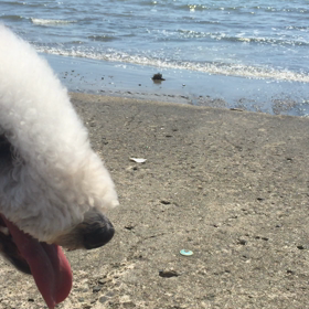 ▶︎ちょっとと海の画像