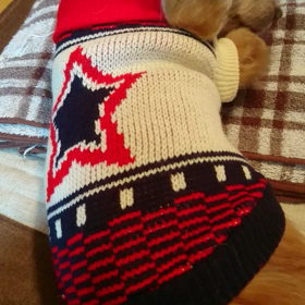 お休みなさいませの画像