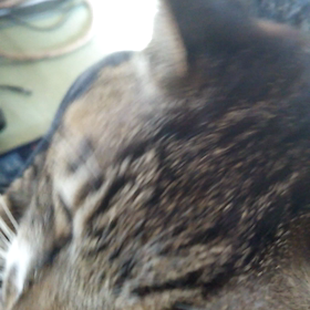 スマホの寿命？の画像