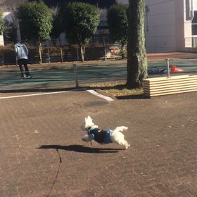 かる。さん大興奮。の画像