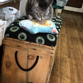 うちの商品「猫枕」が大好き過ぎる猫のまやさん❤️の画像