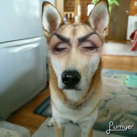 アプリ遊びの画像