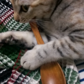 なんだか徒然。の画像