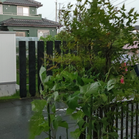 カミナリオヤジの画像