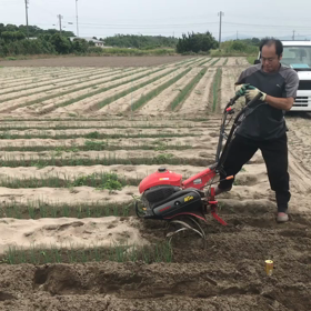 除草作業(￣∇￣)の画像