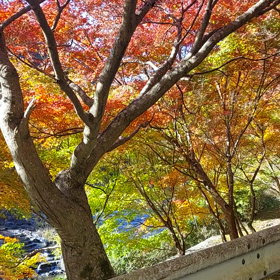 それから、、三國峡へ足を延ばしの画像
