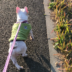 脳障害のはじめの画像