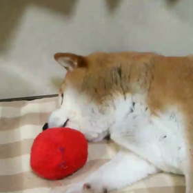 そしてそして…の画像